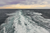 A toute vitesse vers la péninsule Valdés pendant que la nuit tombe - MS Midnatsol - HURTIGRUTEN