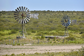 Éoliennes dans la steppe arbustive - Puerto Madryn - Péninsule Valdés - ARGENTINE