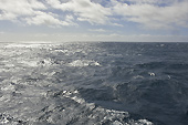 Direction le sud - MS Midnatsol - HURTIGRUTEN
