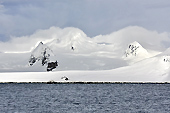 Un paysage grandiose - Half Moon Island - SHETLAND DU SUD