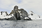 Un paysage grandiose - Half Moon Island - SHETLAND DU SUD