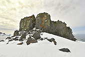 Rocher - Half Moon Island - SHETLAND DU SUD
