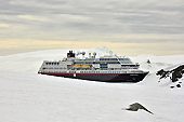 Le MS Midnatsol au mouillage - Half Moon Island - SHETLAND DU SUD
