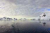 Arrivée à l'aube - Brabant Island - ANTARCTIQUE