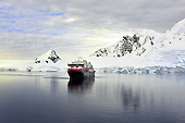 Le MS Roald Amundsen apparaît au loin - Brabant Island - ANTARCTIQUE