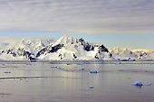 Arrivée à l'aube - Brabant Island - ANTARCTIQUE