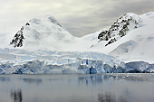 Front d'un glacier de montagne - Brabant Island - ANTARCTIQUE
