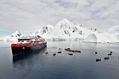 Les embarcations polaires se rassemblent autour du MS Roald Amundsen - Brabant Island - ANTARCTIQUE