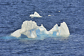 Glace dérivante (Bourguignon) - Orne Harbour - ANTARCTIQUE