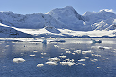 Le littoral antarctique - Orne Harbour - ANTARCTIQUE