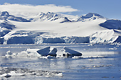 Le littoral antarctique - Orne Harbour - ANTARCTIQUE