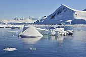 Le littoral antarctique - Orne Harbour - ANTARCTIQUE