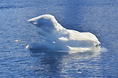 Glace dérivante (Bourguignon) - Orne Harbour - ANTARCTIQUE