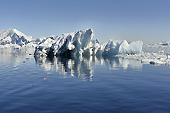 Icebergs, bourguignons et brash-ices - Orne Harbour - ANTARCTIQUE