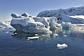 Icebergs, bourguignons et brash-ices - Orne Harbour - ANTARCTIQUE