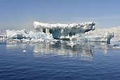 Icebergs, bourguignons et brash-ices - Orne Harbour - ANTARCTIQUE