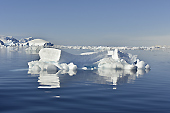 Glaces dérivantes, bourguignons et brash-ices - Orne Harbour - ANTARCTIQUE