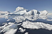 Icebergs, bourguignons et brash-ices - Orne Harbour - ANTARCTIQUE