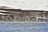 Des fumerolles s'échappent du volcan - Whalers Bay - Deception Island - ANTARCTIQUE