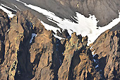 Détails des flancs de la caldeira du volcan - Whalers Bay - Deception Island - ANTARCTIQUE