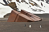 Restes d'installations baleinières ensevelies lors de l'éruption du volcan en 1969 - Whalers Bay - Deception Island - ANTARCTIQUE