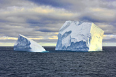 Derniers icebergs sur notre route pour un adieu à l'Antarctique - Whalers Bay - Deception Island - ANTARCTIQUE