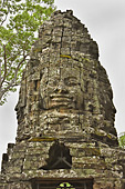 Tour d'un sanctuaire aux 4 visages - Temple Ta Prohm - Cambodge