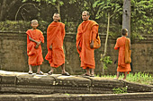 Groupe de bonzes se promenant dans le parc - Angkor Vat - Cambodge