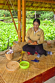 Travail de la vannerie dans le centre d'incubation "Satcha" - Siem Reap - Cambodge