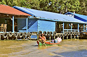 Navigation le long d'habitations proches de la mangrove - Village de Kompong Phluk - Cambodge