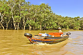 Navigation le long de la mangrove - Village de Kompong Phluk - Cambodge