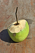 Rafraichissement avec du lait de coco dans le restaurant et ferme au milieu du lac Tonlé Sap - Cambodge