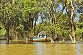 Navigation le long de la mangrove - Village de Kompong Phluk - Cambodge