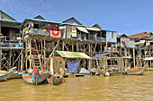 Habitations sur pilotis - Village de Kompong Phluk - Cambodge