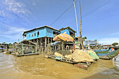 Habitations sur pilotis - Village de Kompong Phluk - Cambodge