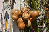 Calebasses décorées - Colonia del Sacremento - URUGUAY