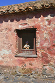 Mur coloré - Colonia del Sacremento - URUGUAY