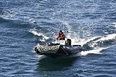 Bateau polaire pour les débarquements - New Island - FALKLAND ISLANDS