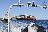 Direction la rive de New Island - FALKLAND ISLANDS