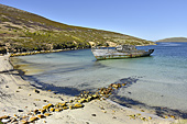 Navire phoquier, le "Protector III", échoué en 1969 - New Island - FALKLAND ISLANDS
