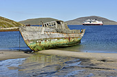 Navire phoquier, le "Protector III", échoué en 1969 - New Island - FALKLAND ISLANDS