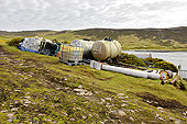 "Port Patterson" - Carcass Island - FALKLAND ISLANDS