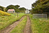 Le petit hameau de R.P. McGill - Carcass Island - FALKLAND ISLANDS