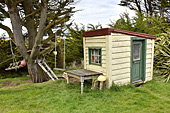 Cabane des enfants - Carcass Island - FALKLAND ISLANDS