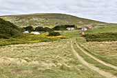 Le petit hameau de R.P. McGill - Carcass Island - FALKLAND ISLANDS
