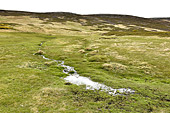Petit ruisseau dans la nature - Carcass Island - FALKLAND ISLANDS
