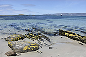 Plage de "Port Patterson" - Carcass Island - FALKLAND ISLANDS