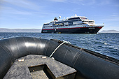 Retour vers le MS Midnastol - Carcass Island - FALKLAND ISLANDS