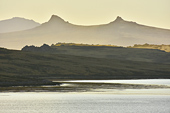 Au revoir les Malouines, direction le continent blanc, l'Antarctique - Port Stanley - FALKLAND ISLANDS