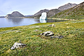 Promenade dans la lande vers l'iceberg échoué - Hvalsey - Groenland